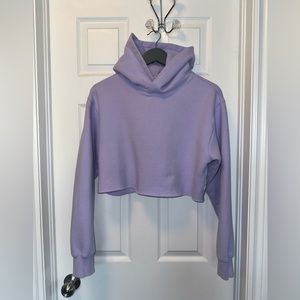 ✨Aritzia✨TNA EUC Perfect Hoodie Crop with Raw Hem